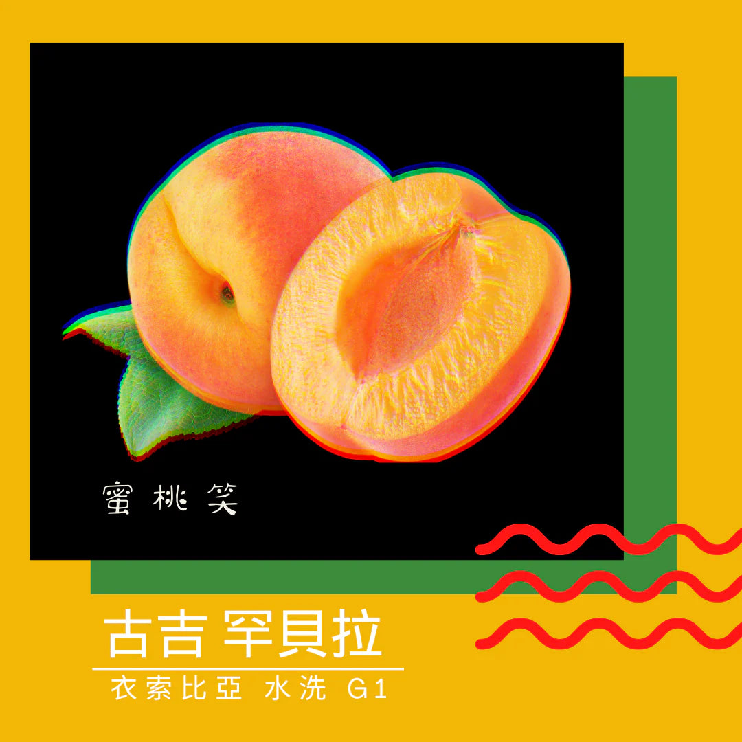 澳飛咖啡。蜜桃笑・衣索比亞・古吉・罕貝拉・水洗